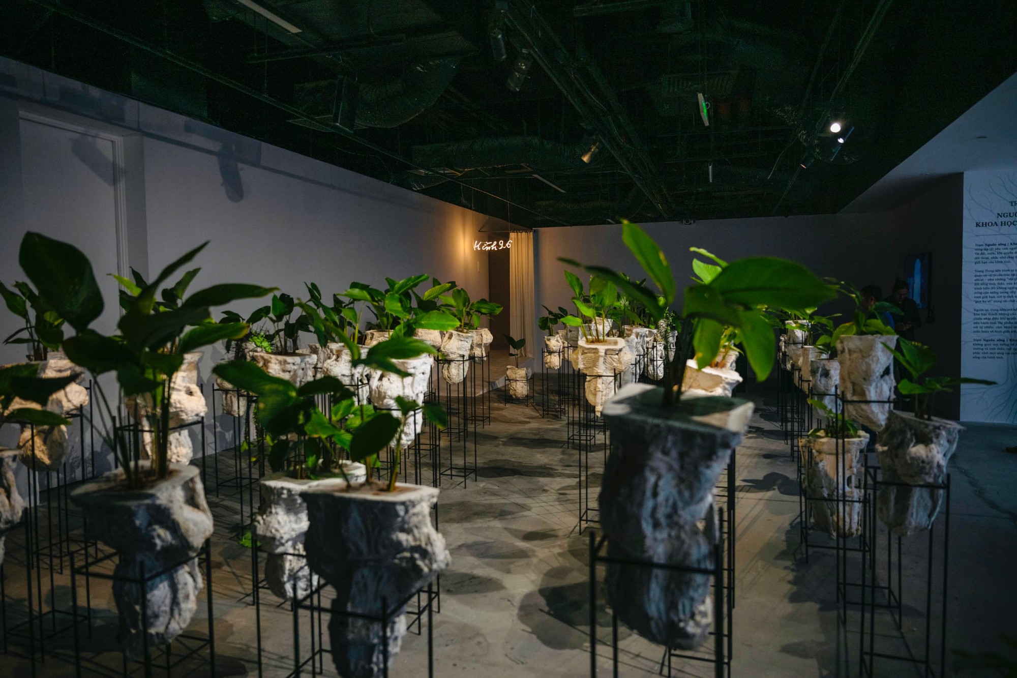 Khoa học bước vào không gian nghệ thuật với 'Tỏa V – Điểm chạm khoa học'- Ảnh 5. Khoa học bước vào không gian nghệ thuật với 'Tỏa V – Điểm chạm khoa học'- Ảnh 5.