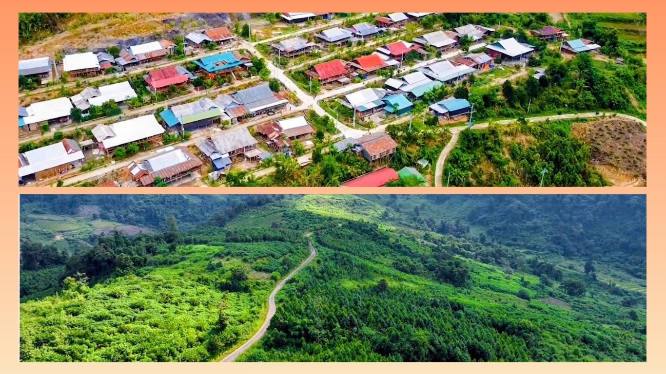 Những Bí thư chi bộ ‘đi trước, làm trước’- Ảnh 3.