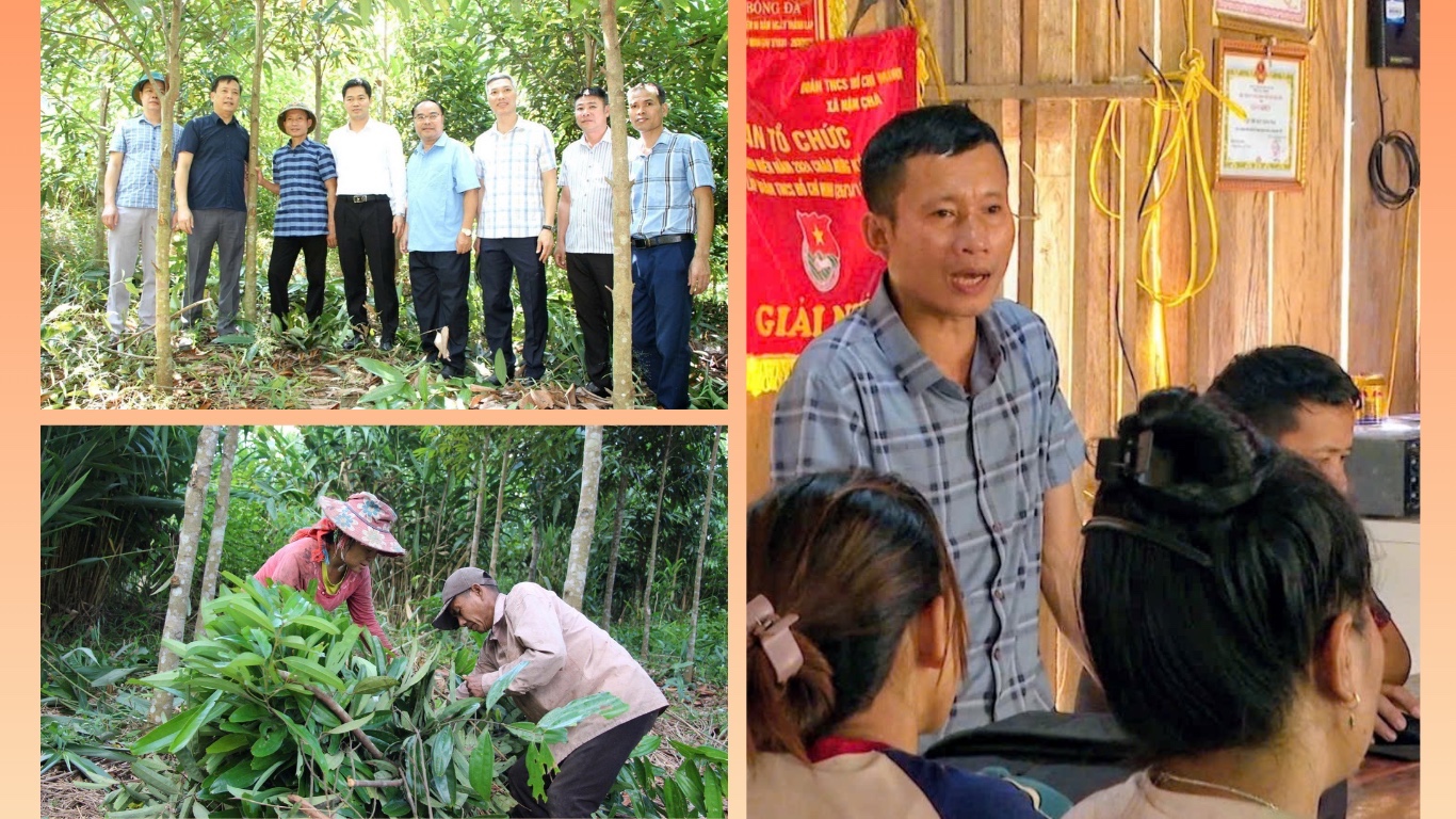 Những Bí thư chi bộ ‘đi trước, làm trước’- Ảnh 2.