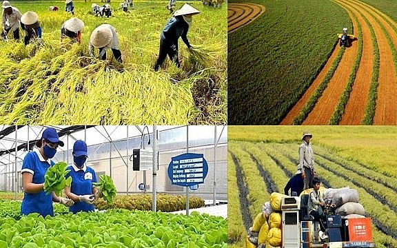 Chính sách mới có hiệu lực từ tháng 1/2026