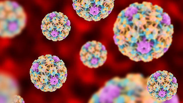 Bộ 3 bảo vệ khỏi HPV: Tiêm chủng, xét nghiệm tầm soát định kỳ và theo dõi kịp thời- Ảnh 1.