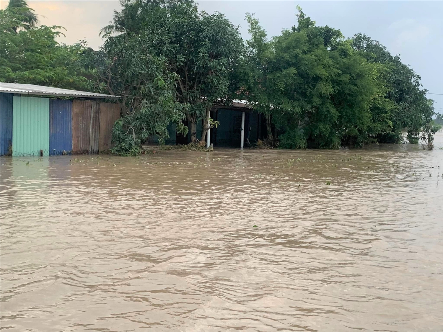 ADB hỗ trợ 2 triệu USD giúp Việt Nam khắc phục hậu quả mưa lũ- Ảnh 1.