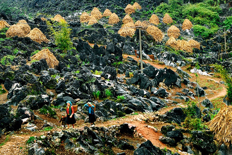Giải thưởng Du lịch Thế giới tôn vinh Việt Nam là Điểm đến Di sản hàng đầu thế giới năm 2025- Ảnh 2.