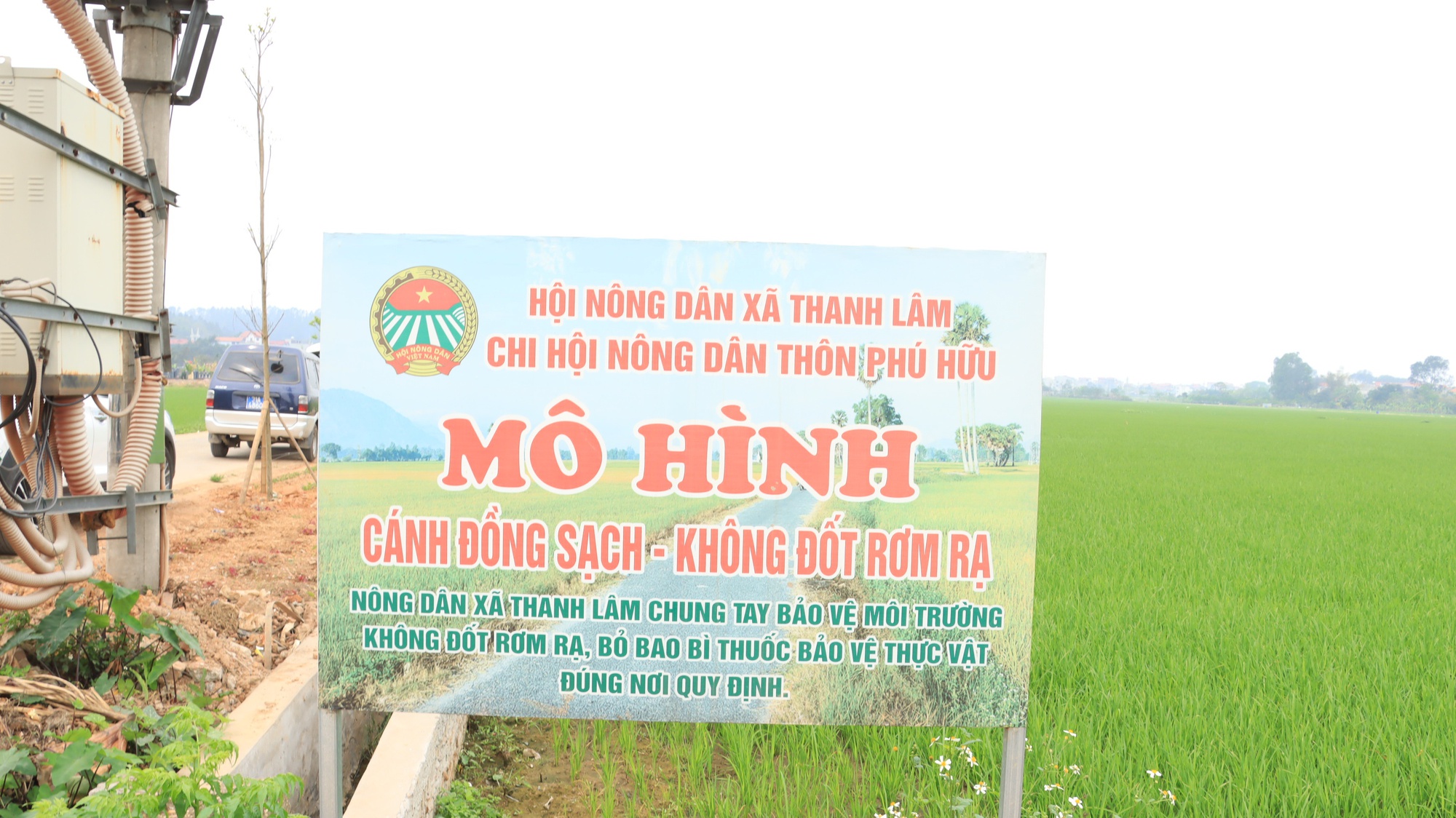 Mô hình chính quyền hai cấp: Tăng hiệu lực thực thi pháp luật môi trường từ thành phố đến cơ sở- Ảnh 2. Mô hình chính quyền hai cấp: Tăng hiệu lực thực thi pháp luật môi trường từ thành phố đến cơ sở- Ảnh 2.