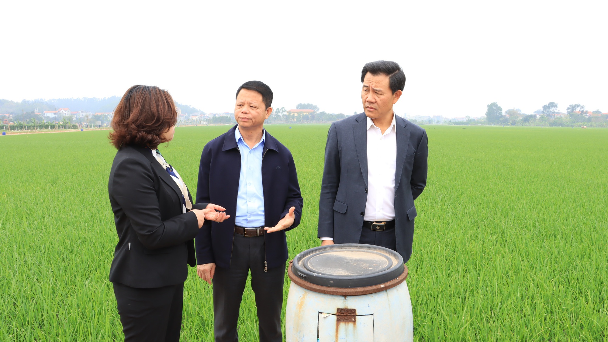 Mô hình chính quyền hai cấp: Tăng hiệu lực thực thi pháp luật môi trường từ thành phố đến cơ sở- Ảnh 1. Mô hình chính quyền hai cấp: Tăng hiệu lực thực thi pháp luật môi trường từ thành phố đến cơ sở- Ảnh 1.