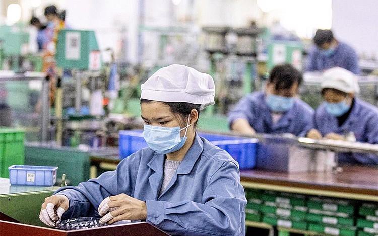 Điều kiện áp dụng hình thức sa thải lao động