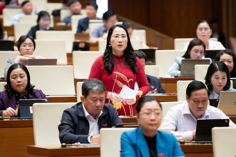 Đại biểu Quốc hội đề nghị tấn công mạnh tội phạm công nghệ cao, hàng giả, thực phẩm bẩn- Ảnh 2.