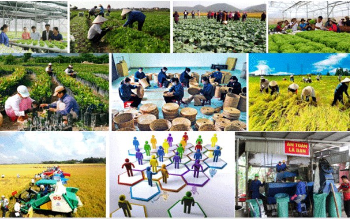Phát triển kinh tế tập thể, hợp tác xã theo mô hình xanh, số, tuần hoàn