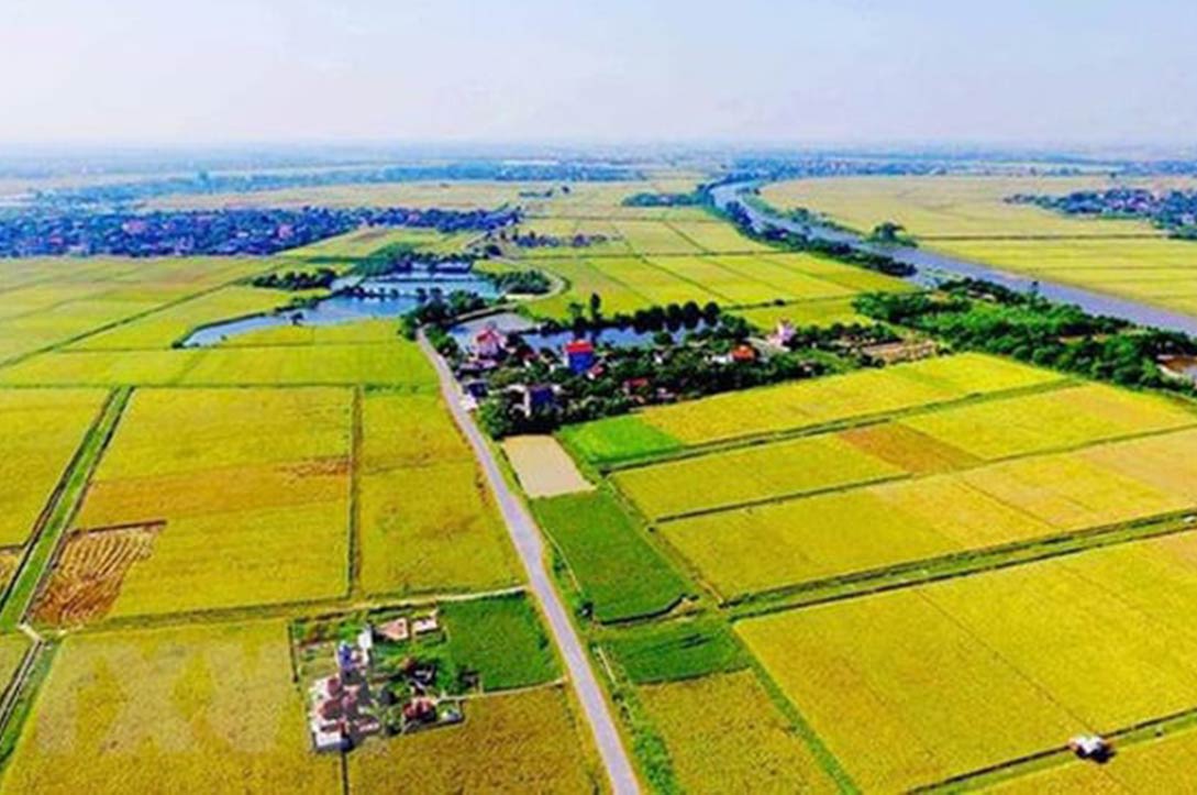 Tính tiền sử dụng đất khi chuyển từ đất nông nghiệp sang đất ở- Ảnh 1. Tính tiền sử dụng đất khi chuyển từ đất nông nghiệp sang đất ở- Ảnh 1.