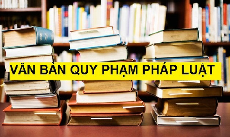 Giải pháp khắc phục ‘độ trễ’ của việc ban hành văn bản pháp luật đối với thực tiễn- Ảnh 1.