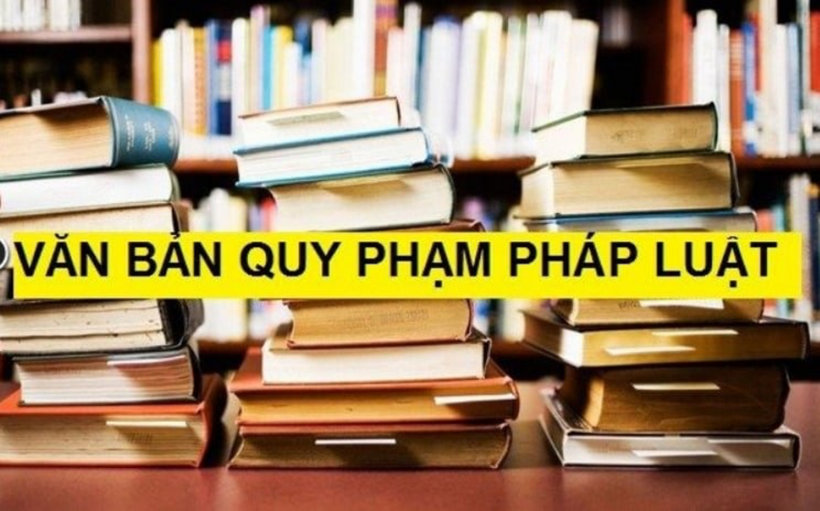 Đề xuất quy định chi tiết về xây dựng, ban hành văn bản quy phạm pháp luật- Ảnh 1.