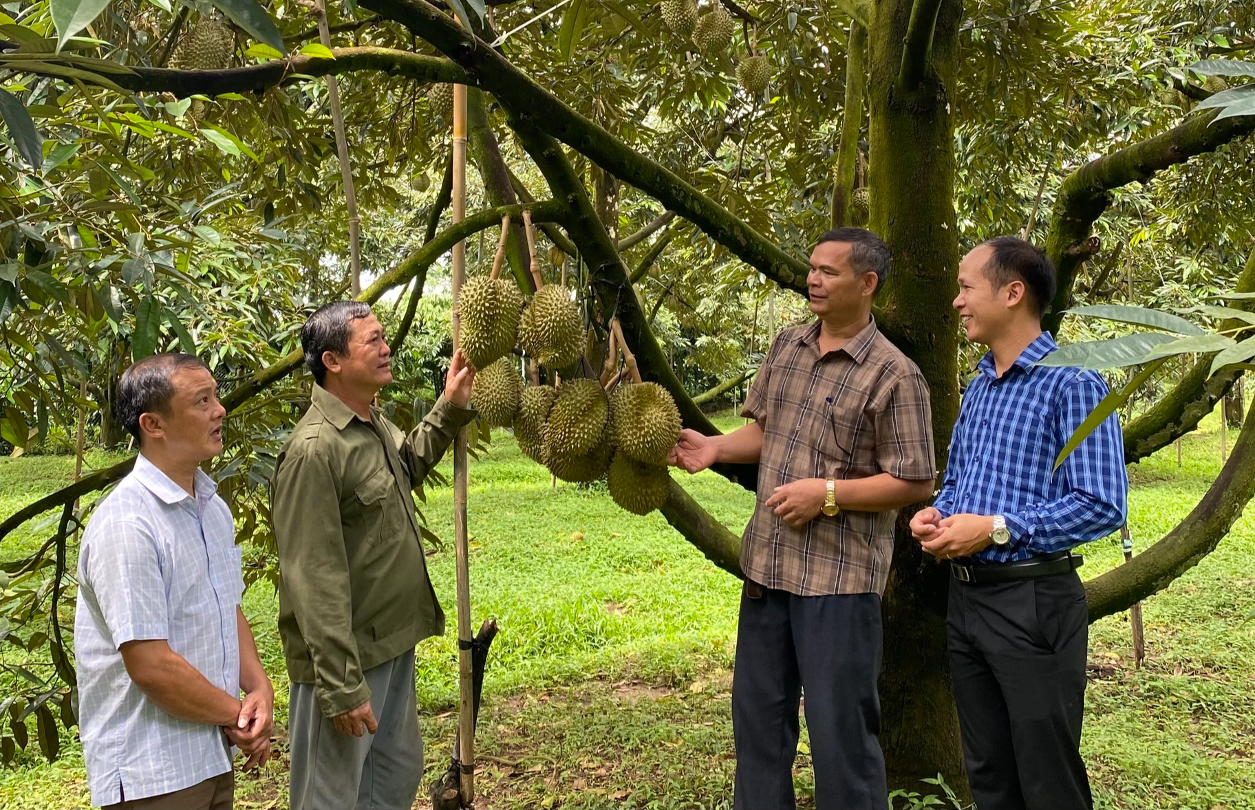 Gia Lai: Vùng biên giới Đức Cơ giảm nghèo từ vốn tín dụng chính sách- Ảnh 1.