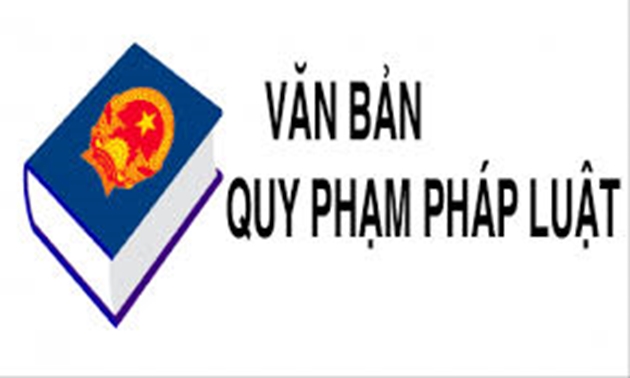 Hoàn thiện khuôn khổ pháp lý, nâng cao hiệu quả thi hành văn bản quy phạm pháp luật- Ảnh 1.