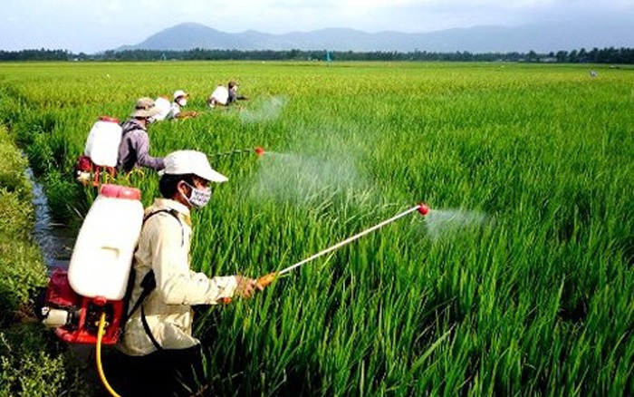 Đề xuất sửa Danh mục thuốc bảo vệ thực vật được phép sử dụng tại Việt Nam