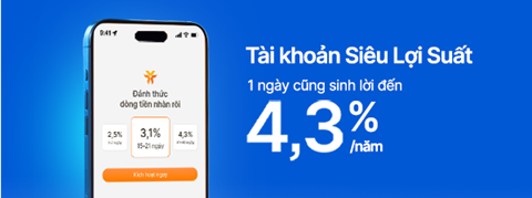 Quản lý tài chính cá nhân phải tối ưu dòng tiền nhàn rỗi- Ảnh 2.