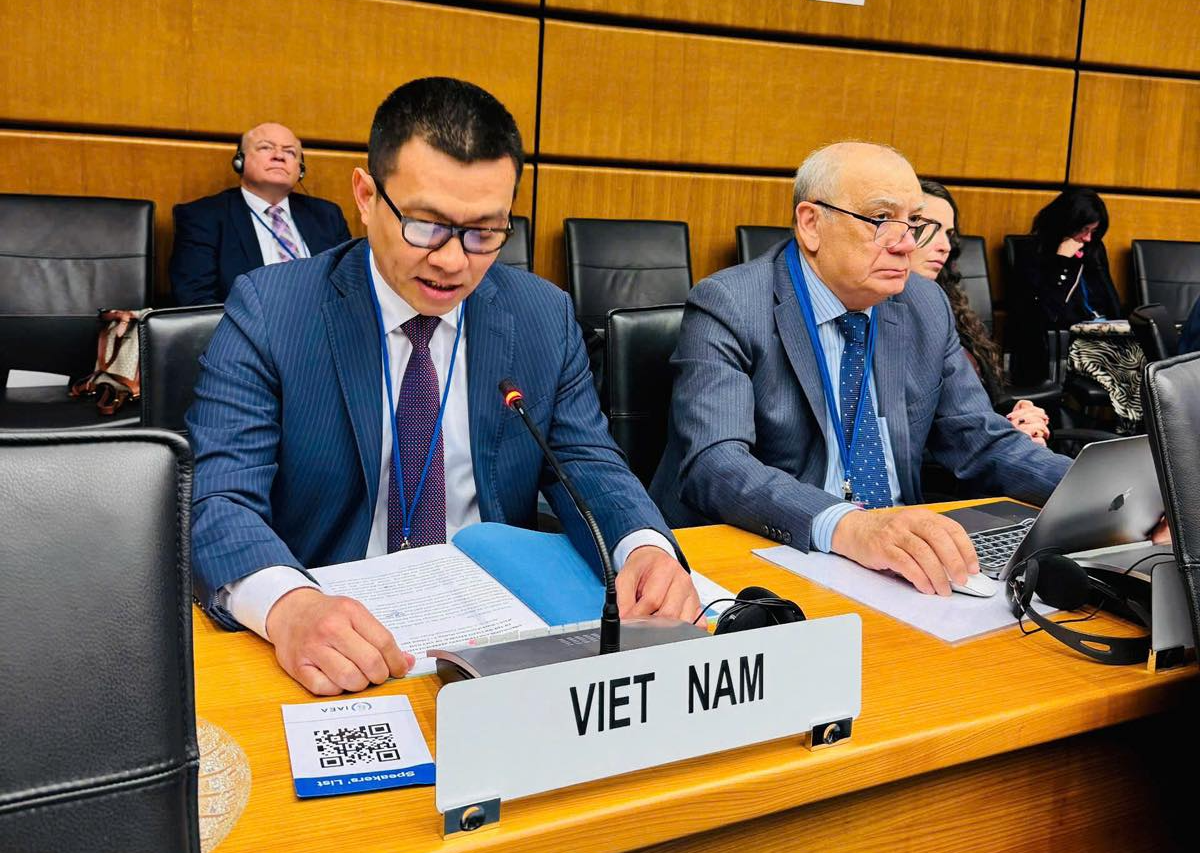 Việt Nam, IAEA hợp tác chặt chẽ trong phát triển và ứng dụng công nghệ hạt nhân vì mục đích hòa bình- Ảnh 2.