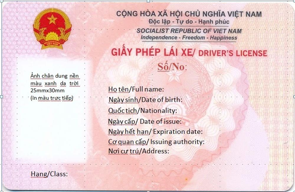 Hướng dẫn nộp "phạt nguội" và tham gia giao thông khi đang trong thời gian chờ cấp, đổi giấy phép lái xe- Ảnh 1.