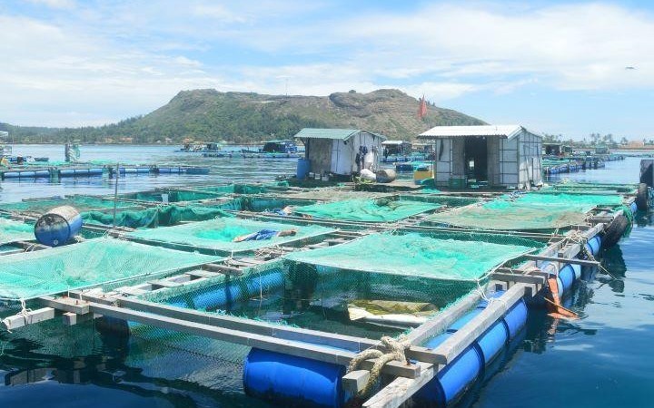 Hồ sơ môi trường đối với dự án nuôi trồng thủy sản