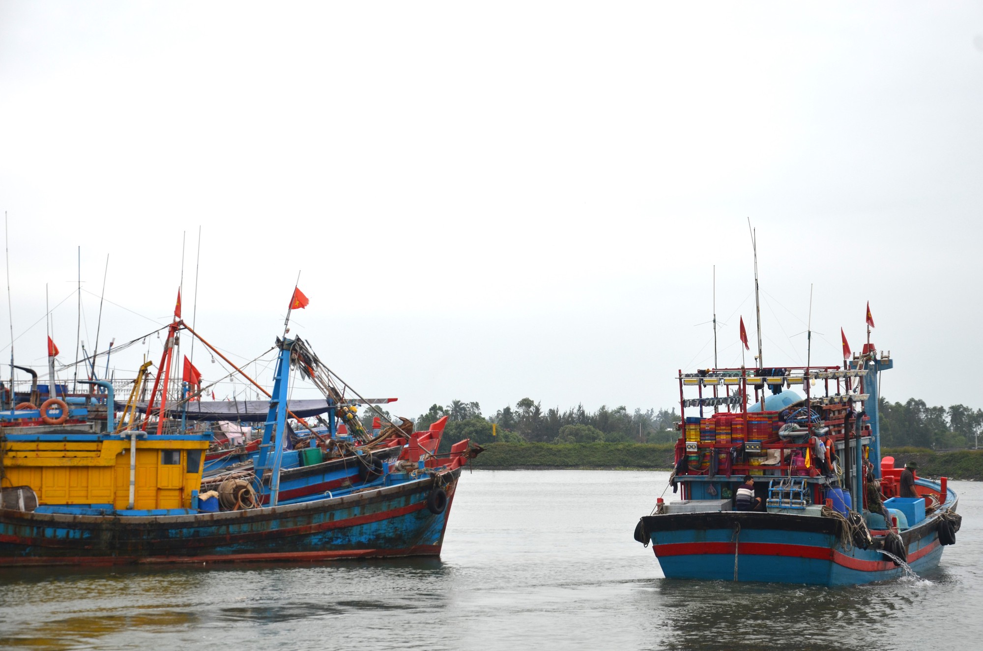 Tổ đoàn kết trên biển giúp ngư dân yên tâm vươn khơi, chống khai thác IUU- Ảnh 1.