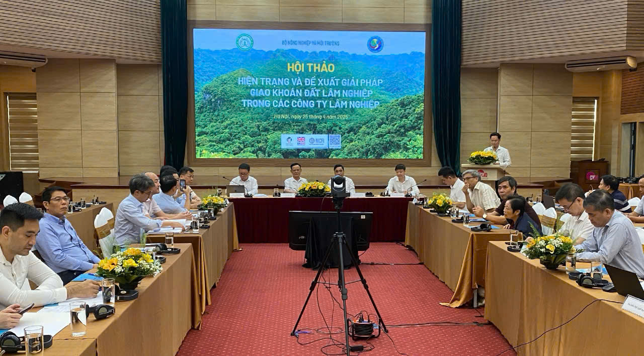 Giao khoán đất lâm nghiệp: Nhiều gợi ý từ thực tiễn- Ảnh 1. Giao khoán đất lâm nghiệp: Nhiều gợi ý từ thực tiễn- Ảnh 1.