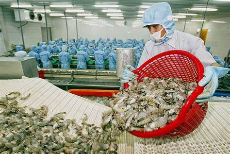 Sản phẩm tôm tiếp tục chinh phục các thị trường lớn- Ảnh 1. Sản phẩm tôm tiếp tục chinh phục các thị trường lớn- Ảnh 1.