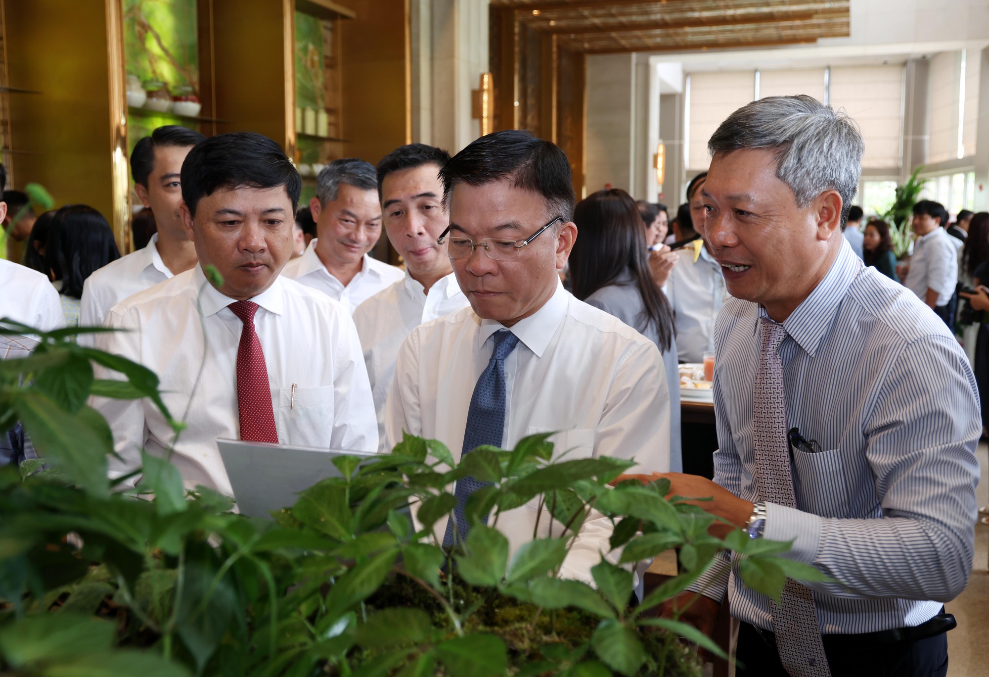 Phát triển 'thủ phủ sâm Ngọc Linh' thành trung tâm công nghiệp dược liệu- Ảnh 5. Phát triển 'thủ phủ sâm Ngọc Linh' thành trung tâm công nghiệp dược liệu- Ảnh 5.