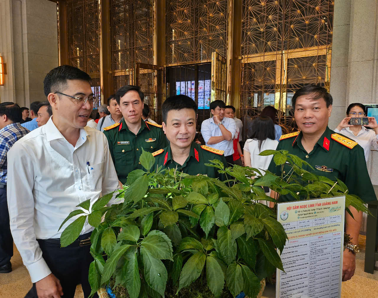 Ứng dụng công nghệ để bảo tồn, phát triển thương hiệu sâm Ngọc Linh- Ảnh 2. Ứng dụng công nghệ để bảo tồn, phát triển thương hiệu sâm Ngọc Linh- Ảnh 2.
