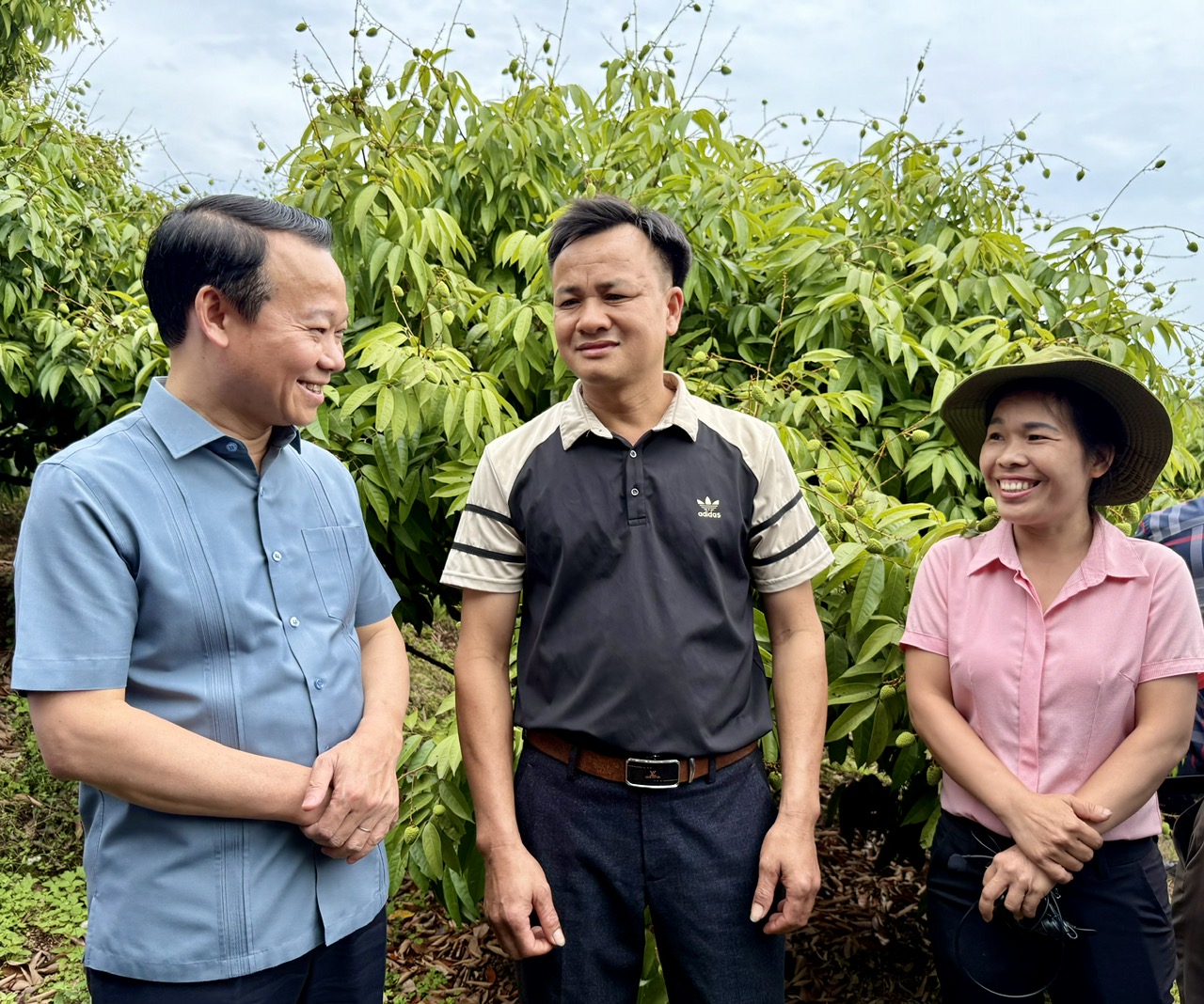 Sẵn sàng cho vụ vải thiều 2025- Ảnh 3. Sẵn sàng cho vụ vải thiều 2025- Ảnh 3.