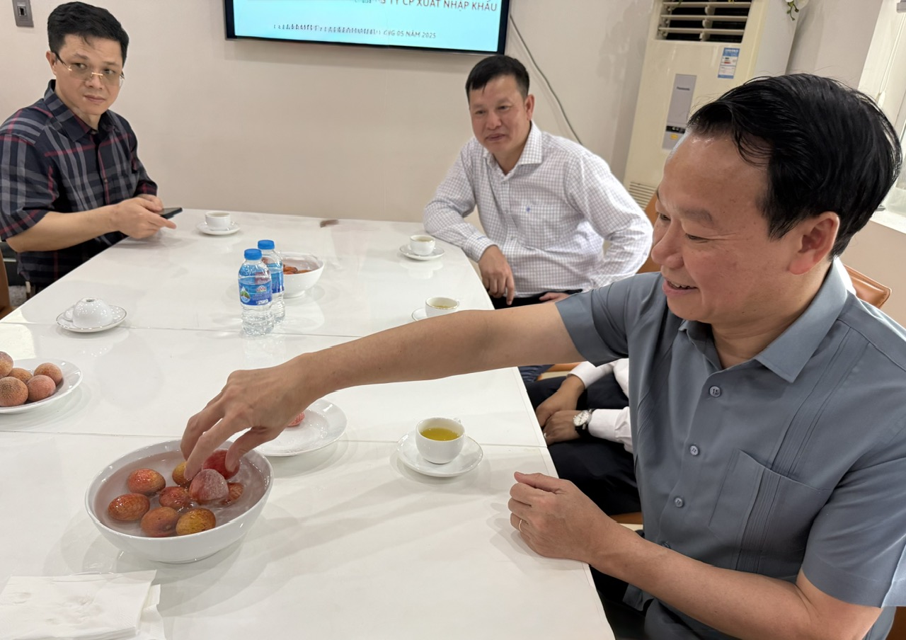 Tăng cường liên kết chuỗi và chế biến nâng cao giá trị quả vải- Ảnh 2. Tăng cường liên kết chuỗi và chế biến nâng cao giá trị quả vải- Ảnh 2.