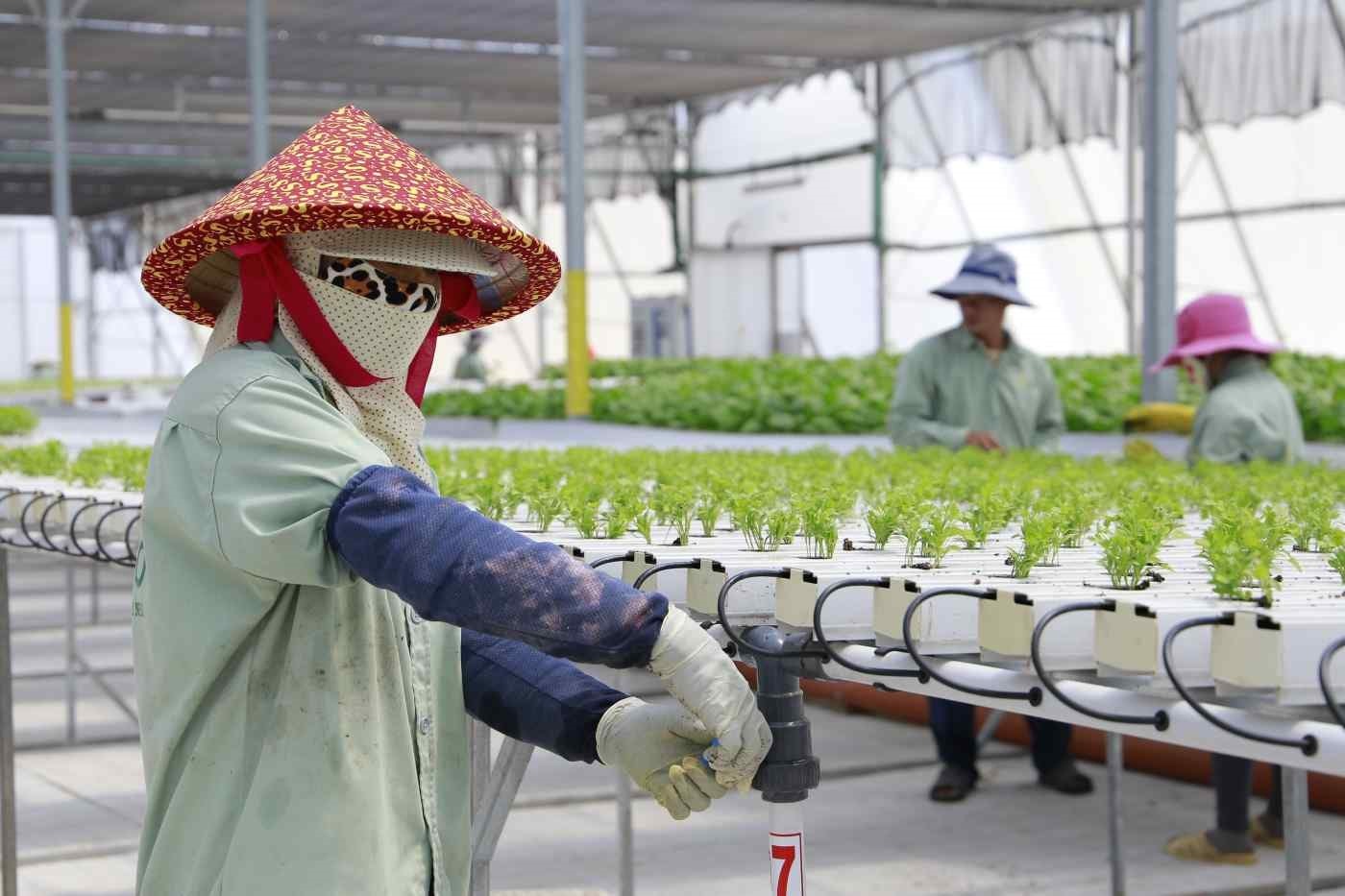 Cảnh giác với thông tin tuyển lao động đi Israel: Bộ Nội vụ ra khuyến cáo- Ảnh 1. Cảnh giác với thông tin tuyển lao động đi Israel: Bộ Nội vụ ra khuyến cáo- Ảnh 1.