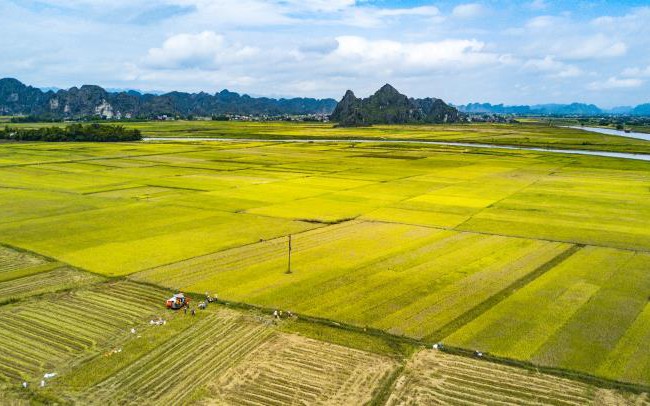 Có phải trình HĐND tỉnh các dự án chuyển mục đích sử dụng đất?
