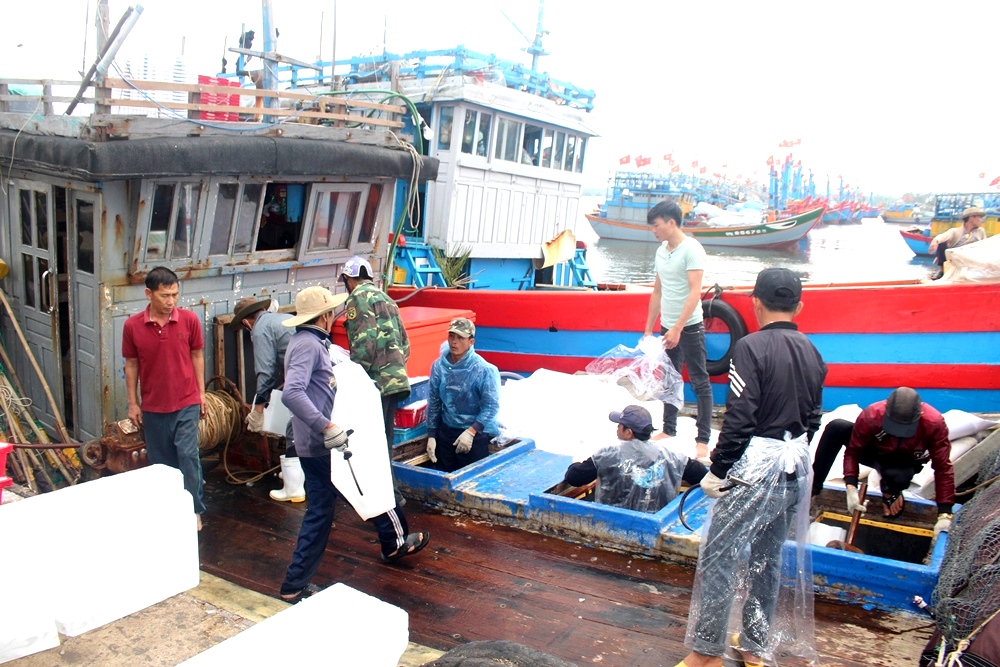 TP. Huế: Xử lý triệt để tàu cá bốc dỡ hàng tại cảng chưa được chỉ định- Ảnh 1. TP. Huế: Xử lý triệt để tàu cá bốc dỡ hàng tại cảng chưa được chỉ định- Ảnh 1.