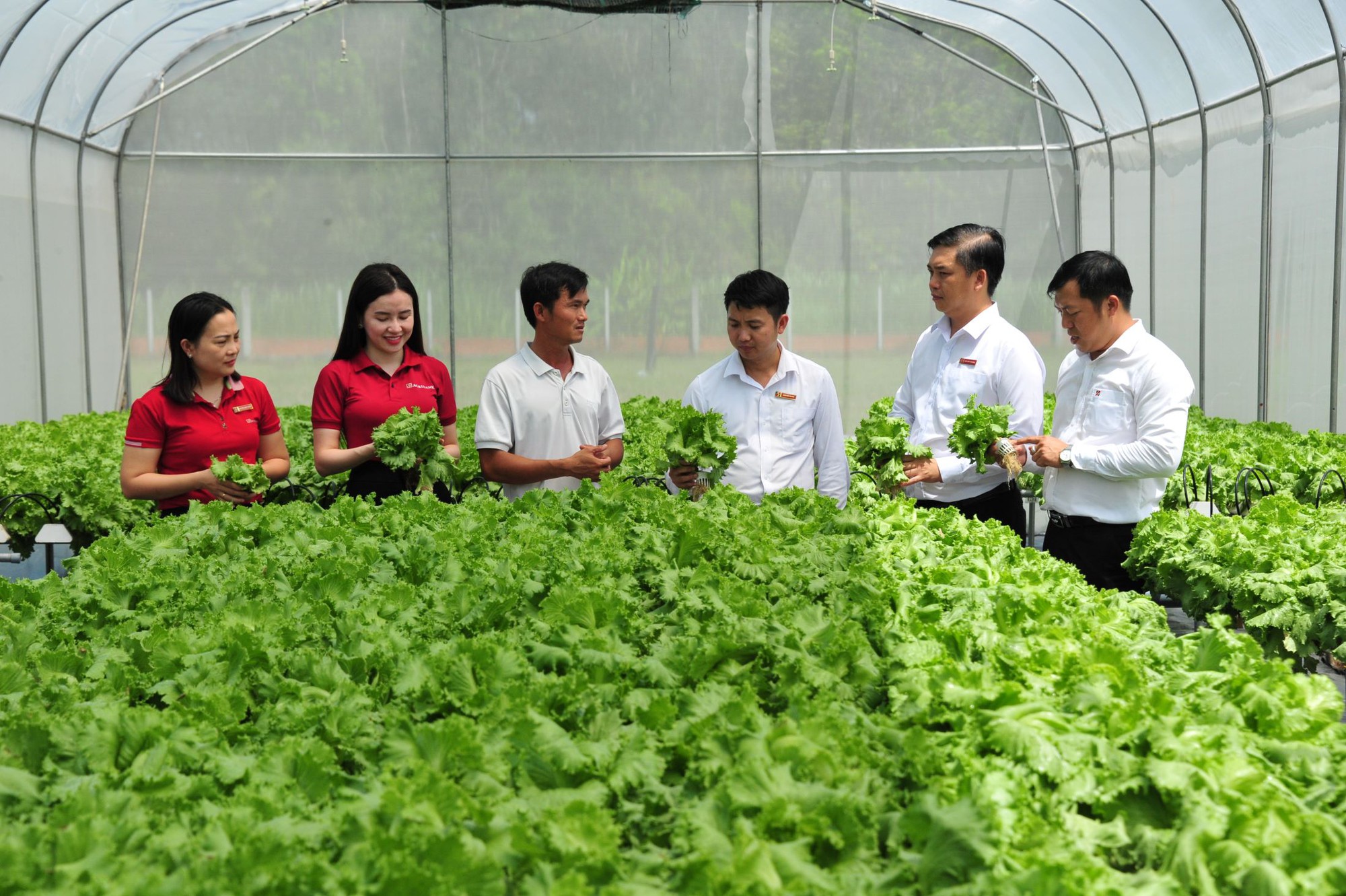 Agribank mở rộng phạm vi và nâng quy mô chương trình tín dụng ưu đãi lĩnh vực nông, lâm, thủy sản- Ảnh 2. Agribank mở rộng phạm vi và nâng quy mô chương trình tín dụng ưu đãi lĩnh vực nông, lâm, thủy sản- Ảnh 2.