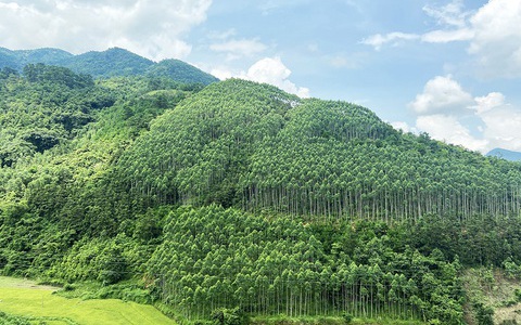Thẩm quyền xây dựng khung giá rừng