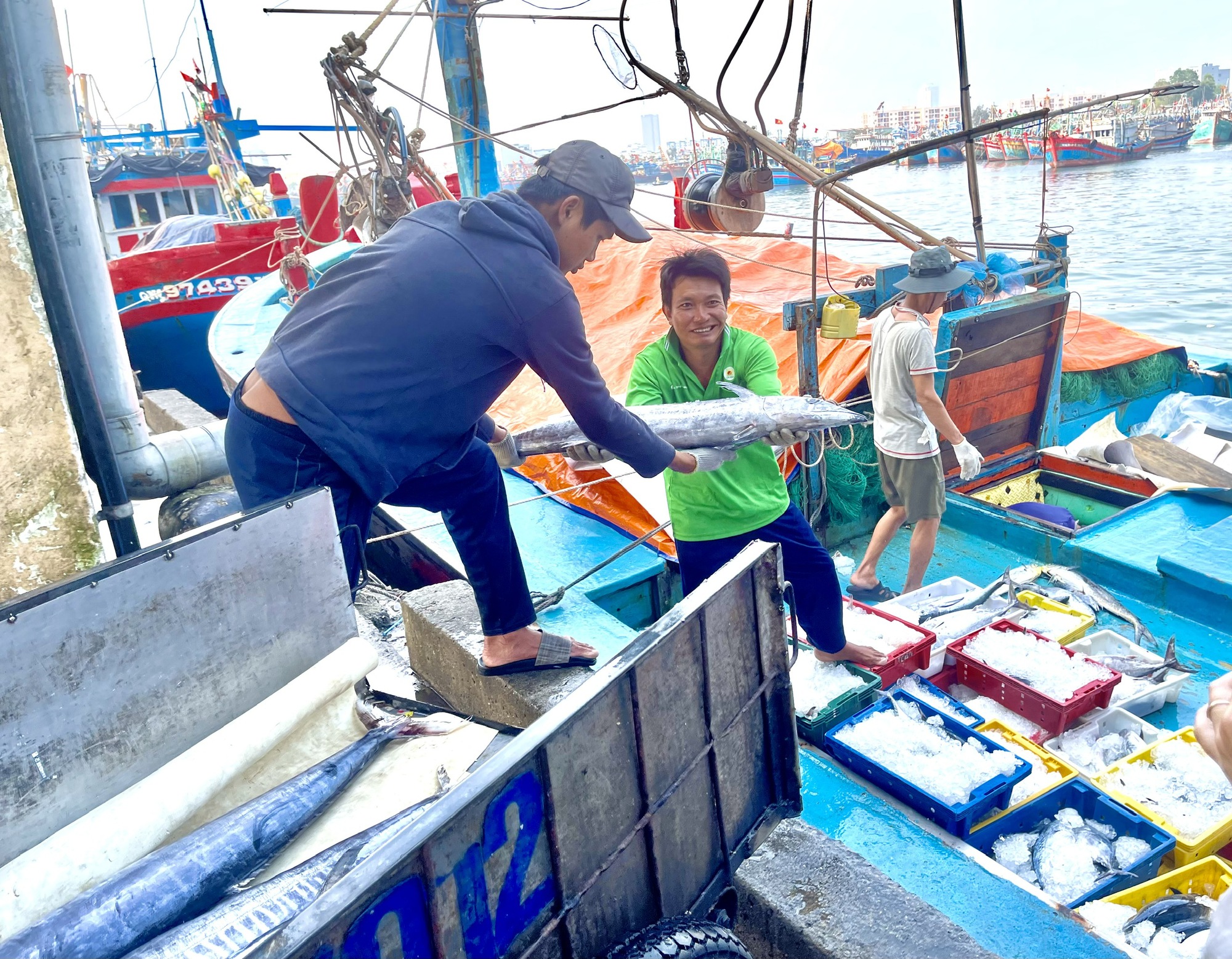 Quảng Ngãi tiếp tục nỗ lực chống khai thác IUU- Ảnh 2. Quảng Ngãi tiếp tục nỗ lực chống khai thác IUU- Ảnh 2.
