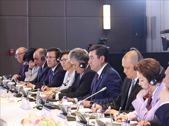 6 chính đảng trong Hạ viện Kazakhstan luôn ủng hộ quan hệ với Việt Nam- Ảnh 3. 6 chính đảng trong Hạ viện Kazakhstan luôn ủng hộ quan hệ với Việt Nam- Ảnh 3.