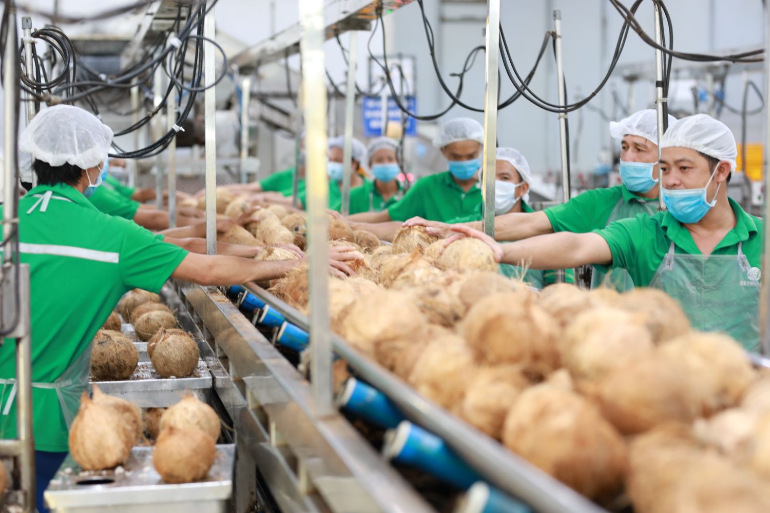 Nông nghiệp xanh: Tìm cơ hội trong thách thức- Ảnh 3. Nông nghiệp xanh: Tìm cơ hội trong thách thức- Ảnh 3.
