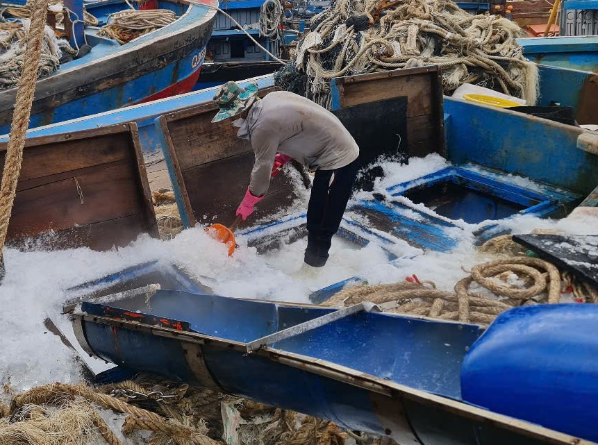 Quảng Nam tăng tốc chống khai thác IUU, sẵn sàng đón Đoàn thanh tra EC lần thứ 5- Ảnh 2. Quảng Nam tăng tốc chống khai thác IUU, sẵn sàng đón Đoàn thanh tra EC lần thứ 5- Ảnh 2.