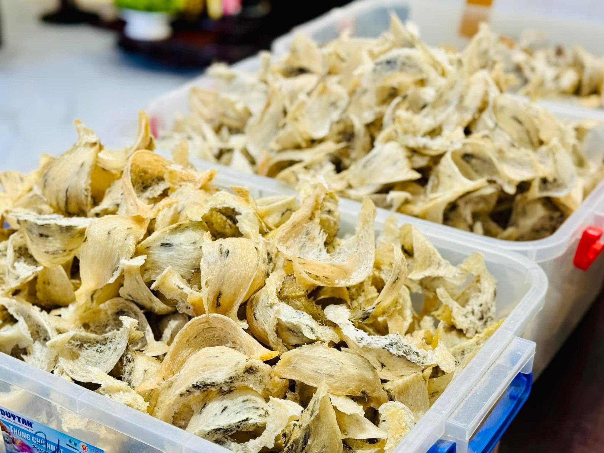 Cơ hội và thách thức xuất khẩu tổ yến sang Trung Quốc- Ảnh 1. Cơ hội và thách thức xuất khẩu tổ yến sang Trung Quốc- Ảnh 1.