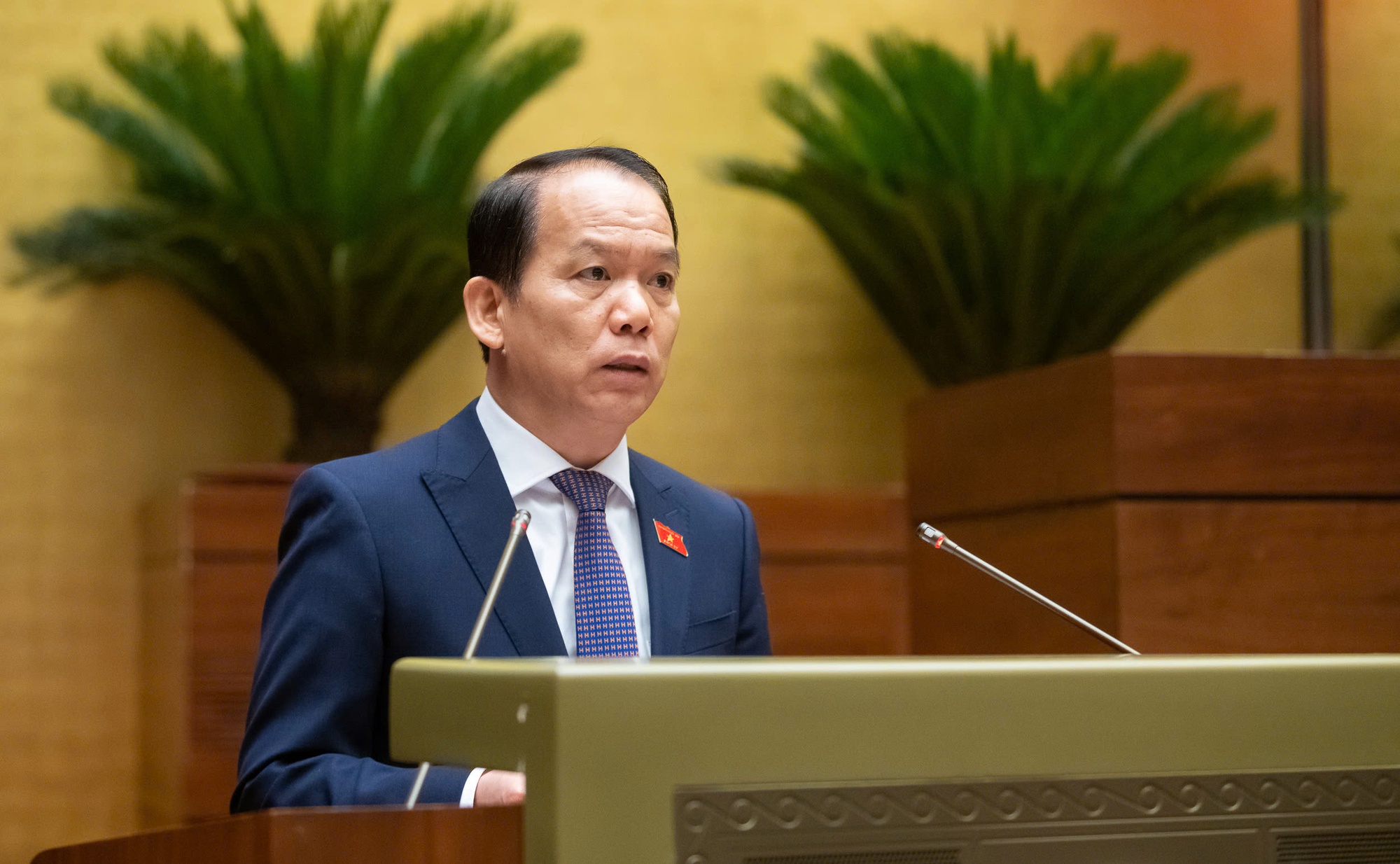 Đề xuất thành lập Tòa án nhân dân khu vực, Tòa chuyên trách về Phá sản, Sở hữu trí tuệ - Ảnh 2. Đề xuất thành lập Tòa án nhân dân khu vực, Tòa chuyên trách về Phá sản, Sở hữu trí tuệ - Ảnh 2.