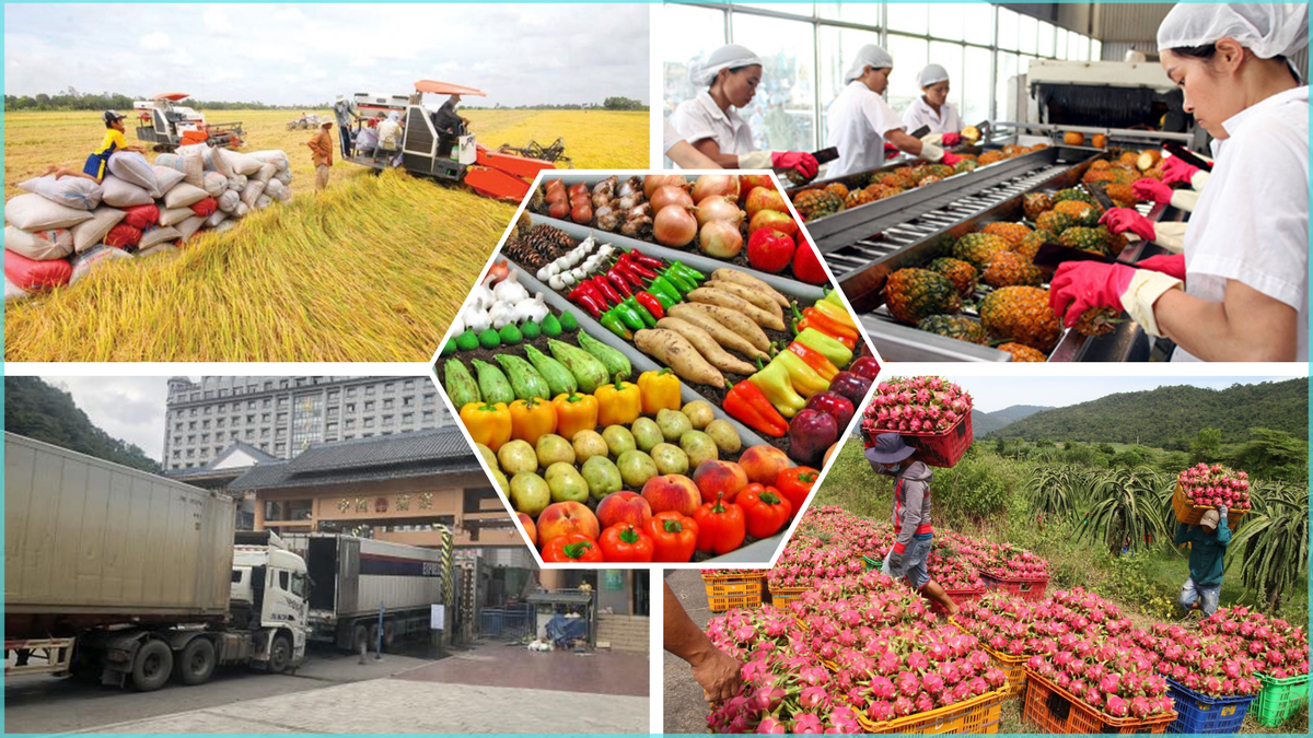 Bảo đảm sản xuất, tiêu thụ, xuất khẩu nông lâm thủy sản trong bối cảnh biến động thương mại toàn cầu- Ảnh 1. Bảo đảm sản xuất, tiêu thụ, xuất khẩu nông lâm thủy sản trong bối cảnh biến động thương mại toàn cầu- Ảnh 1.