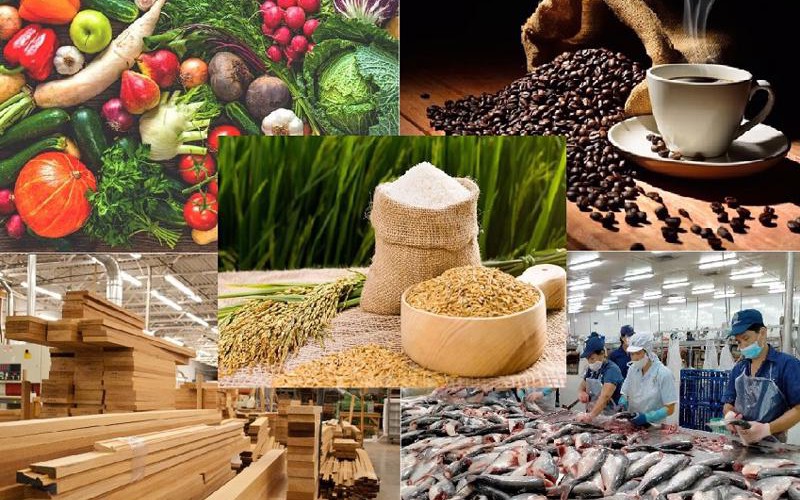 Công điện của Thủ tướng Chính phủ về tập trung chỉ đạo bảo đảm sản xuất, tiêu thụ, xuất khẩu nông lâm thủy sản trong bối cảnh biến động thương mại toàn cầu