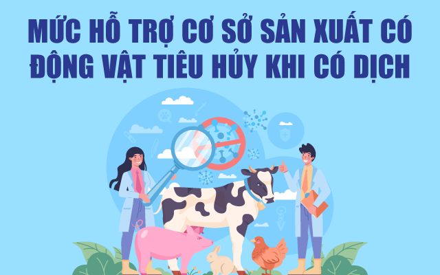 Infographics: Mức hỗ trợ cơ sở sản xuất có động vật tiêu huỷ khi có dịch