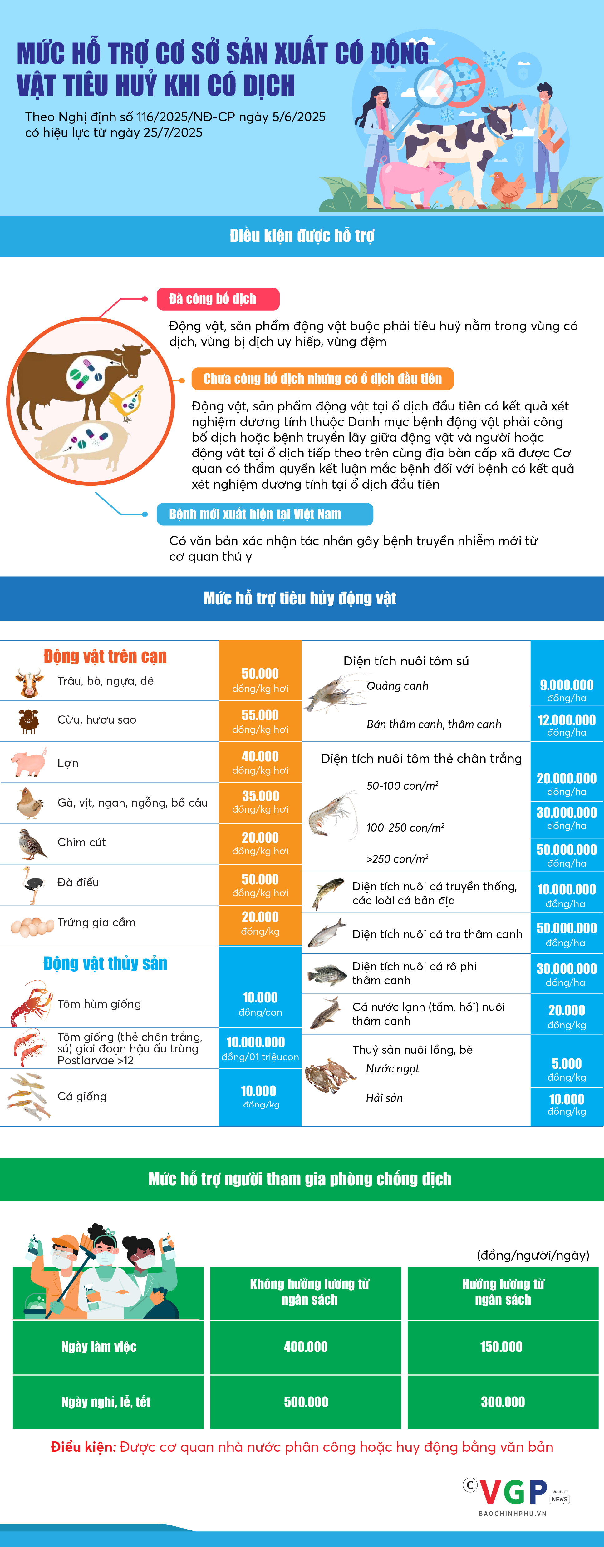 Infographics: Mức hỗ trợ cơ sở sản xuất có động vật tiêu huỷ khi có dịch- Ảnh 1.