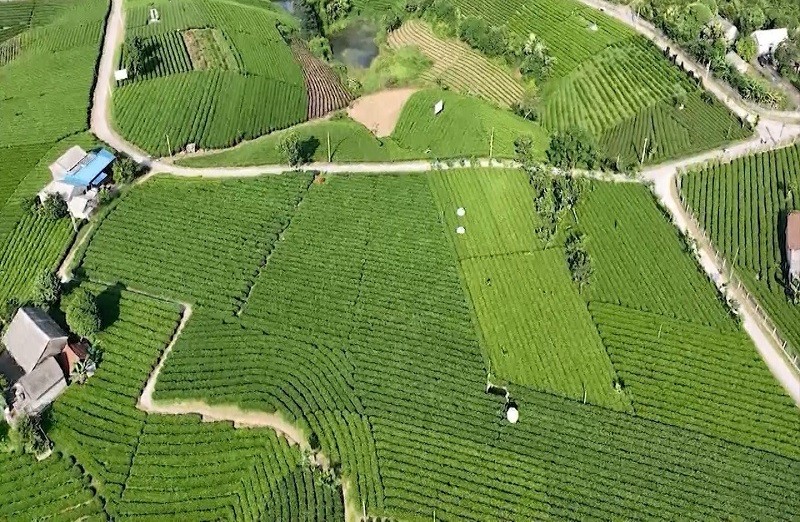 Empat daerah telah mencapai matlamat pembangunan luar bandar yang baharu - Foto 1. 4 huyện về đích nông thôn mới- Ảnh 1.