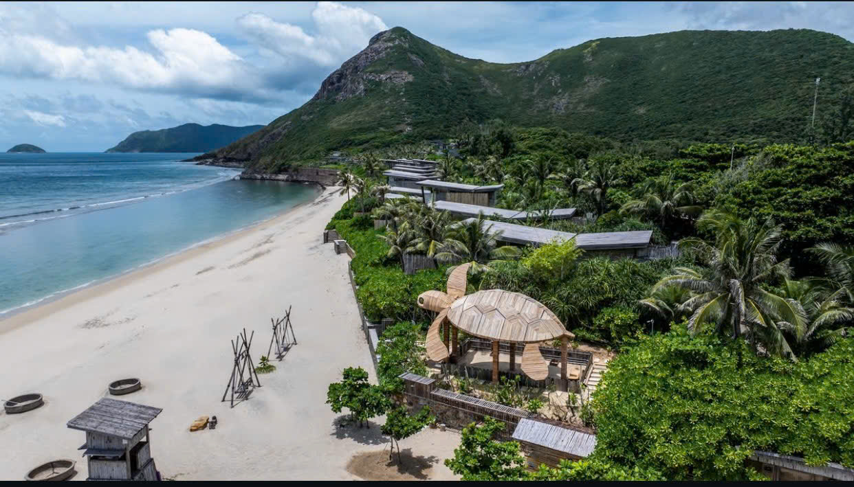 Cột mốc đáng tự hào: Hơn 30.000 cá thể rùa biển được thả về đại dương tại Côn Đảo- Ảnh 1. Cột mốc đáng tự hào: Hơn 30.000 cá thể rùa biển được thả về đại dương tại Côn Đảo- Ảnh 1.