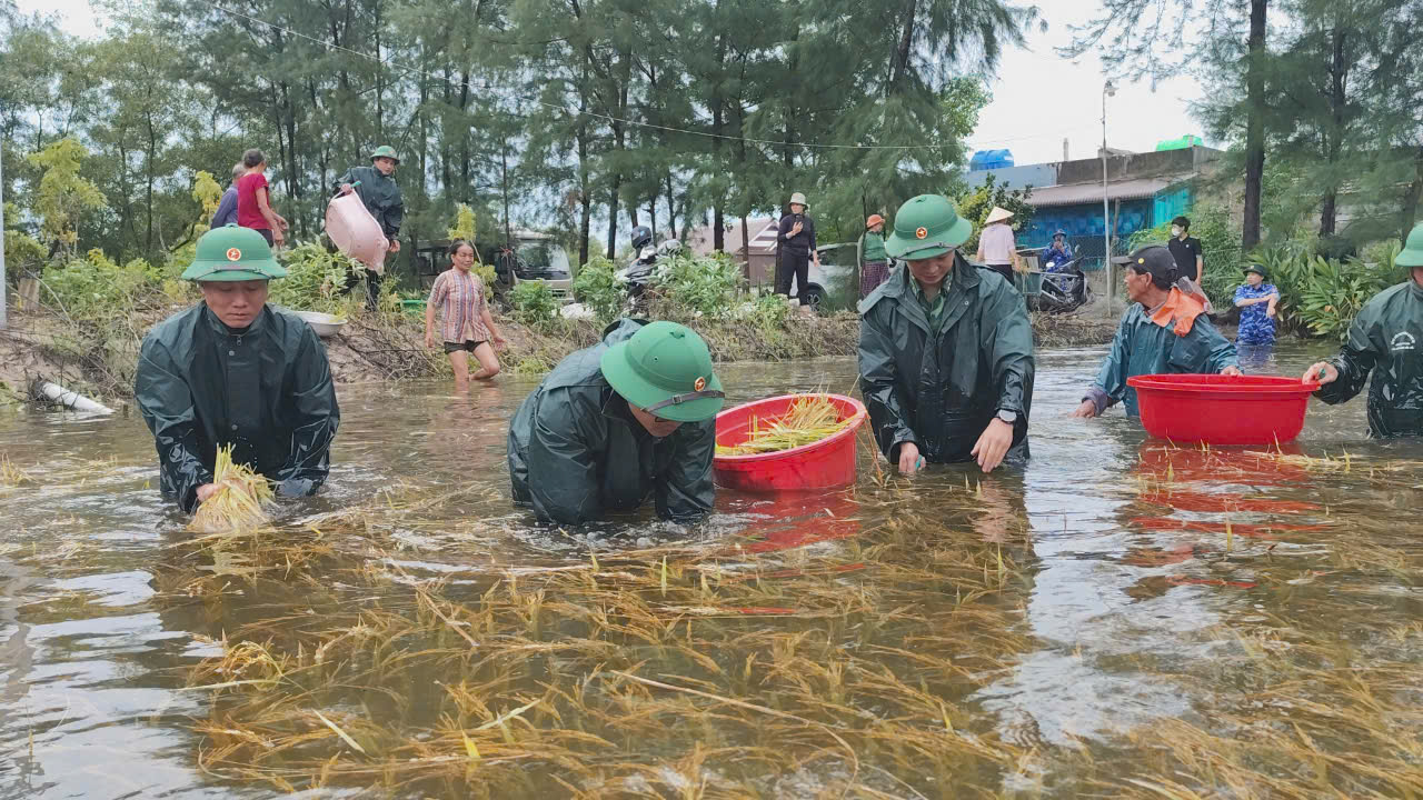 Quảng Trị triển khai các biện pháp khẩn cấp khắc phục thiệt hại do bão số 1 và mưa lũ gây ra- Ảnh 1. Quảng Trị triển khai các biện pháp khẩn cấp khắc phục thiệt hại do bão số 1 và mưa lũ gây ra- Ảnh 1.
