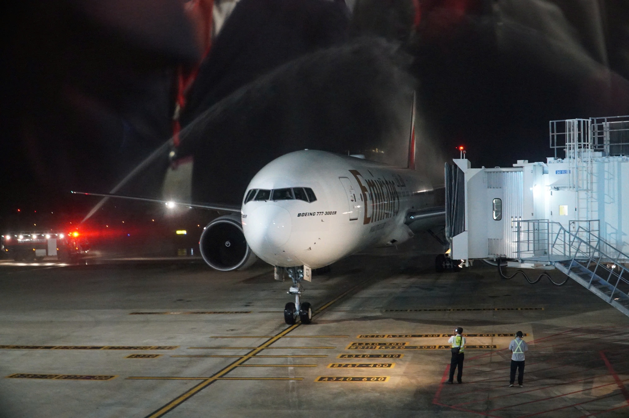 Đà Nẵng đón chuyến bay đầu tiên từ Dubai- Ảnh 2. Đà Nẵng đón chuyến bay đầu tiên từ Dubai- Ảnh 2.