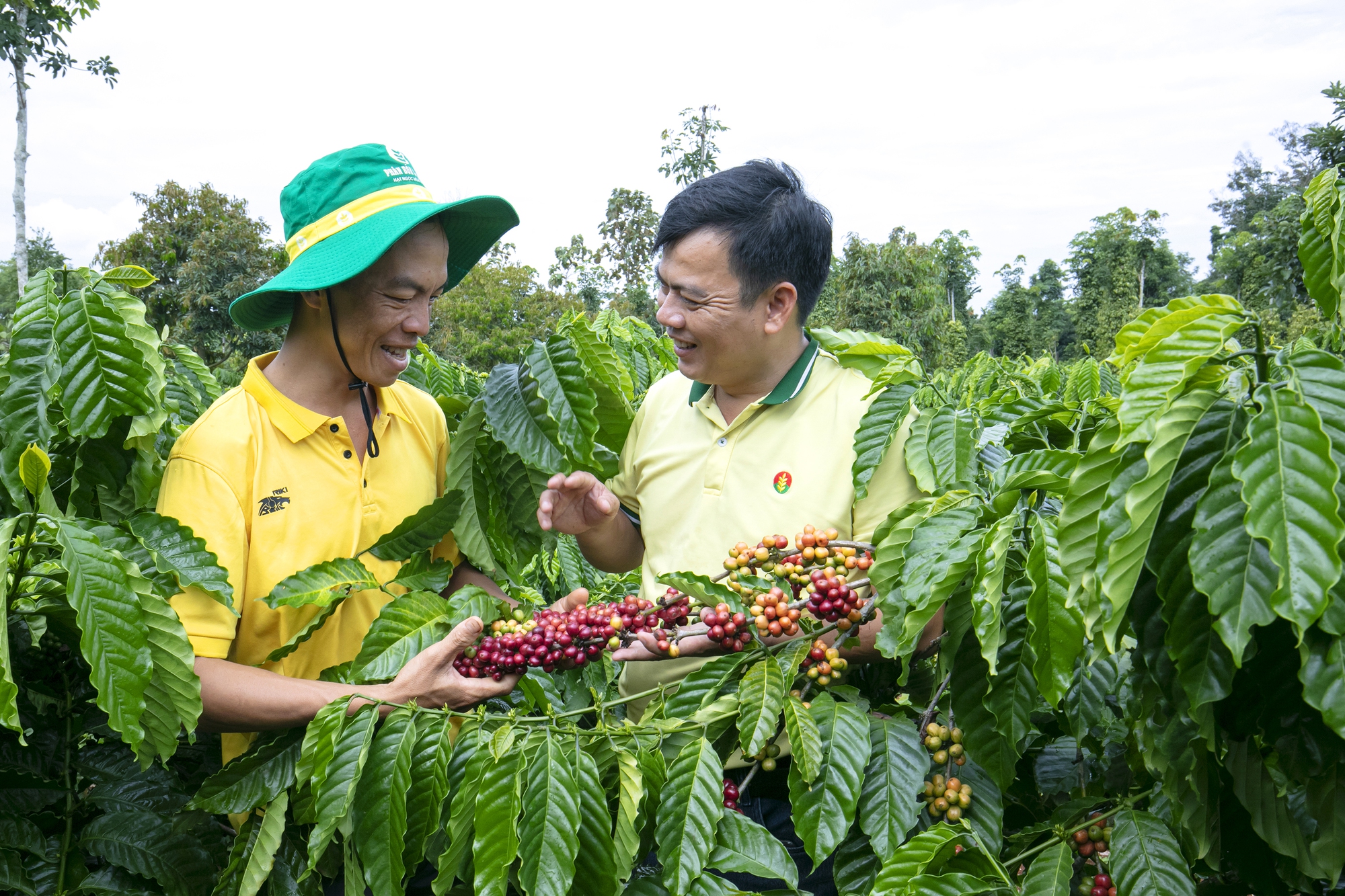 PVCFC cam kết không tăng giá, dù nguyên liệu nhập khẩu tăng- Ảnh 2. PVCFC cam kết không tăng giá, dù nguyên liệu nhập khẩu tăng- Ảnh 2.
