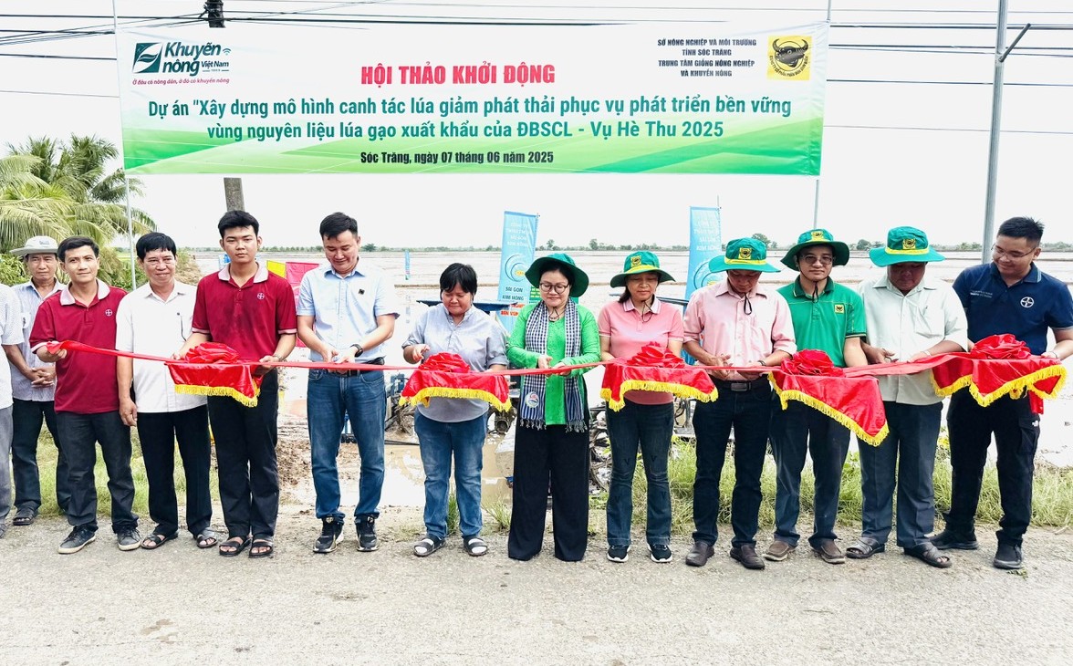 Bình Điền đẩy mạnh Dự án "Xây dựng mô hình canh tác lúa giảm phát thải phục vụ phát triển bền vững"- Ảnh 1. Bình Điền đẩy mạnh Dự án "Xây dựng mô hình canh tác lúa giảm phát thải phục vụ phát triển bền vững"- Ảnh 1.
